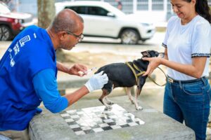 Itaboraí inicia vacinação antirrábica gratuita para cães e gatos (2)