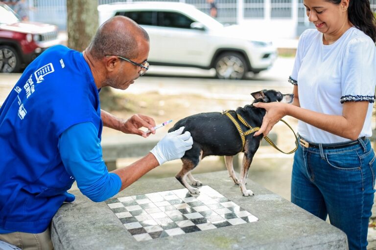 Itaboraí inicia vacinação antirrábica gratuita para cães e gatos (2)