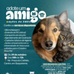Cartaz