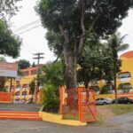 E.M. Antineia Silveira Miranda - Foto Evelen Gouvêa (2)
