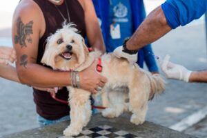 Itaboraí promove 7ª semana de vacinação antirrábica em oito bairros (3)